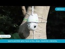 youtube - [Video]