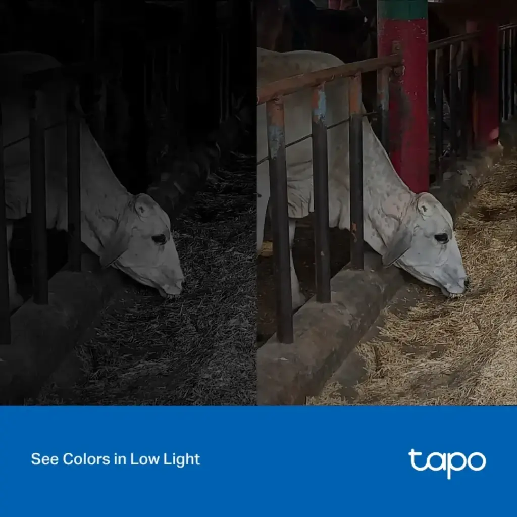 TAPOC320WS-image-3-1763653274341.webp