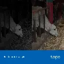 TAPOC320WS-image-3-1763653274341.webp