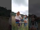 youtube - [Video]