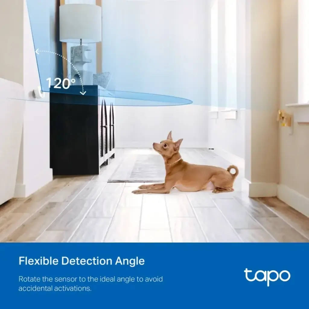 TAPOT100-image-2-1757172762430.webp