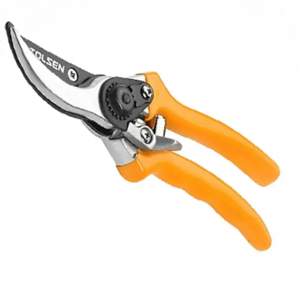 31022-image-2-1728057389335.webp